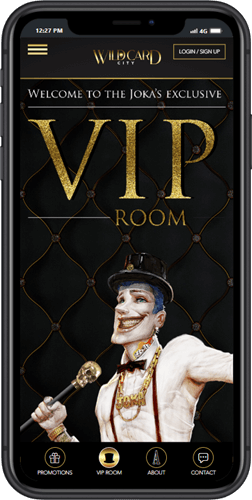 VIP Mobile